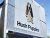 ハッシュ パピー/Hush Puppies/盛岡店